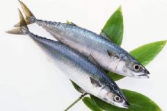 冬天多吃魚有何好處？冬天吃魚有何禁忌？[圖]