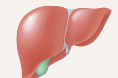 肝癌早期的這五個(gè)癥狀別忽視了 發(fā)現(xiàn)早就不會(huì)是晚期[圖]