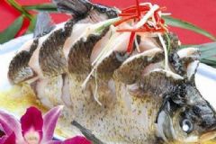 吃魚的哪個(gè)部位最營(yíng)養(yǎng)？魚的哪個(gè)部位營(yíng)養(yǎng)價(jià)值高？[圖]