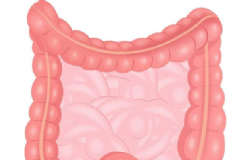 保護(hù)腸胃有哪些妙招？怎么保護(hù)腸胃最好？[圖]