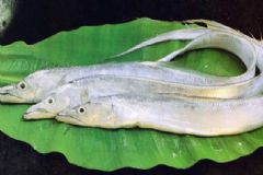 帶魚(yú)膽固醇含量高嗎？膽固醇高能吃帶魚(yú)嗎？[圖]