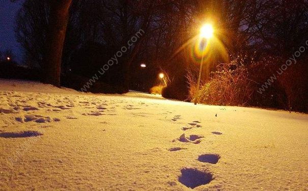 老太醉倒路邊雪地被凍僵，多虧有路人看見報了警(1)