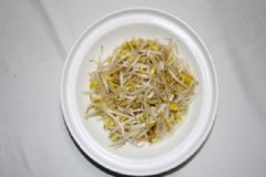 豆芽是酸性還是堿性？豆芽是堿性食物嗎？[多圖]