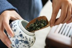 茶葉應(yīng)該怎么保存好？茶葉有什么好處？[多圖]