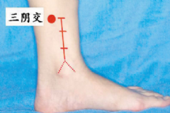 三陰交穴位在身體哪個部位？女性按摩三陰交有什么好處？[圖]