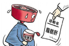 輕度脂肪肝該怎么辦？脂肪肝食療方法[圖]