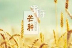 芒種時(shí)節(jié)怎樣養(yǎng)生保健？芒種期間養(yǎng)生要點(diǎn)[圖]