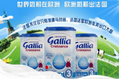 法國Gallia奶粉好不好？法國Gallia奶粉怎么樣？[圖]