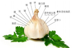 生吃大蔥有什么好處？生吃大蔥的好處[圖]