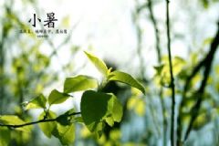 小暑起居養(yǎng)生有哪些注意事項？小暑起居養(yǎng)生常識[圖]