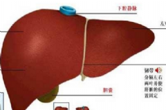 肝功能異常怎么調(diào)理？肝功能異常能治好嗎？[圖]