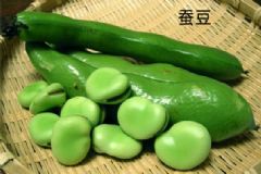 豌豆和蠶豆一樣嗎？蠶豆和豌豆的區(qū)別[多圖]