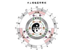 十二正經(jīng)是什么意思？十二正經(jīng)從哪里分左右?[多圖]