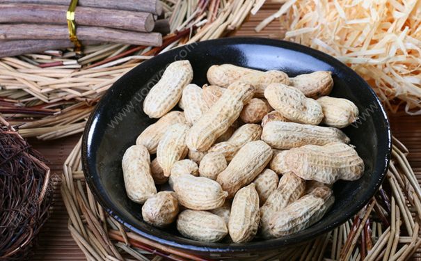 花生是豆類嗎？花生是不是豆類？(1)