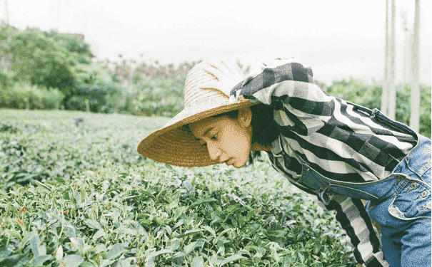 瑜伽減肥操減肥效果好嗎？瑜伽減肥操怎么做？(1)