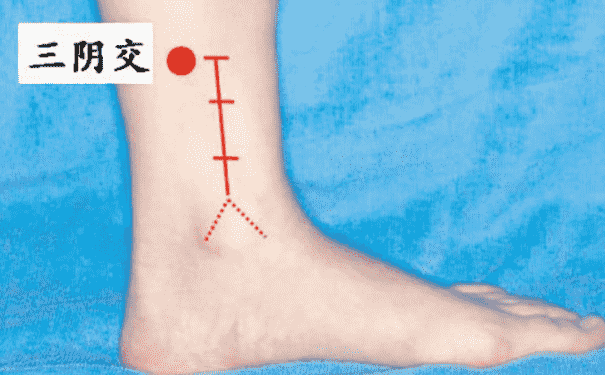 三陰交穴位在身體哪個(gè)部位？女性按摩三陰交有什么好處？(1)