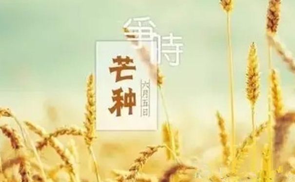 芒種時(shí)節(jié)怎樣養(yǎng)生保??？芒種期間養(yǎng)生要點(diǎn)(1)