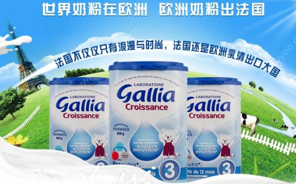 法國Gallia奶粉好不好？法國Gallia奶粉怎么樣？(1)