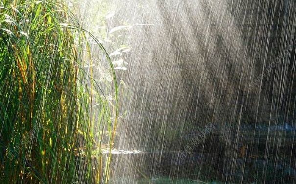 打雷下雨可以洗澡嗎？打雷下雨洗澡有危險嗎？(4)