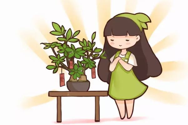 20種花草的風(fēng)水意義，讓你財(cái)源廣進(jìn)！