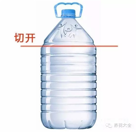 將礦泉水瓶清洗干凈