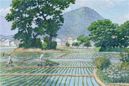 種豆南山，東籬采菊