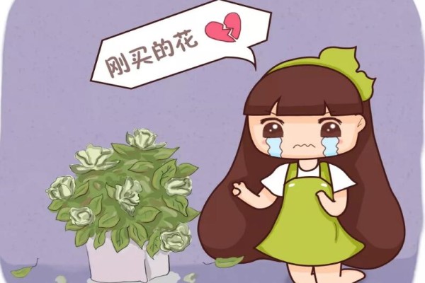 入秋別買(mǎi)這5種花，回家3天花苞全掉，再便宜都虧!