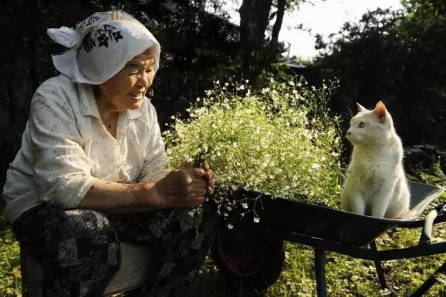 奶奶采來了一把滿天星， 她開心的像個少女。 在夕陽下，我們靜靜對坐， 就像心意相通的老友。