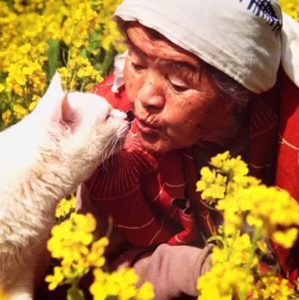 一起去看看， 今年油菜花開的怎么樣。