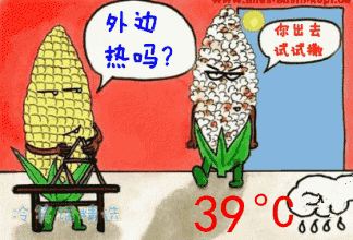 近40℃高溫，花再不管，就只剩盆了！