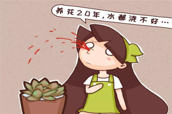 養(yǎng)花20年，水都澆不好，怪不得養(yǎng)一盆死一盆！