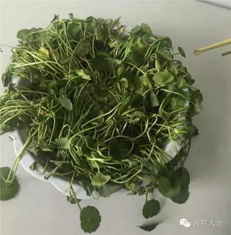 清理