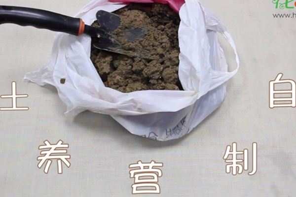 自制營養(yǎng)土視頻：這三種生活垃圾，可以制作營養(yǎng)土