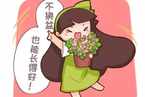 他養(yǎng)花十年沒換過盆，年年花開滿枝，只因?yàn)樽隽诉@個