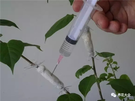 用注射器往紙巾注水