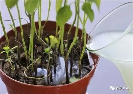 在堿性水中加入適量的食醋