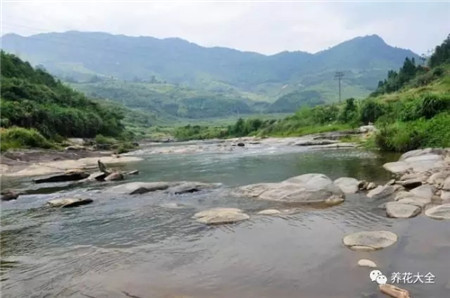 河水、湖水