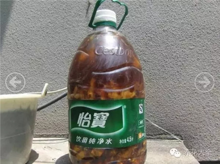 發(fā)酵3個月