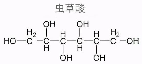 冬蟲夏草的形成生長過程圖片 冬蟲夏草為什么賣這么貴