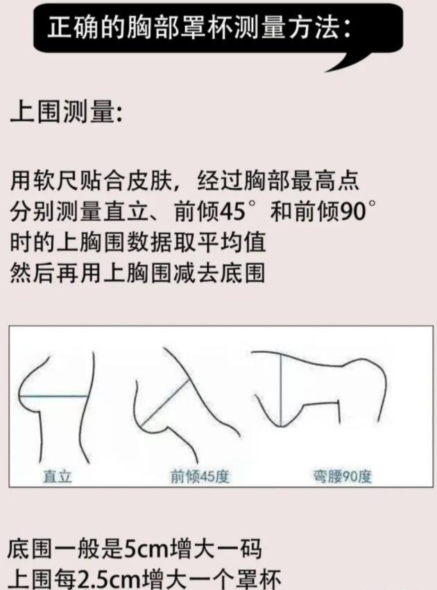 初二女生的罩罩是什么樣？初二女生的胸衣是什么樣的？[圖]