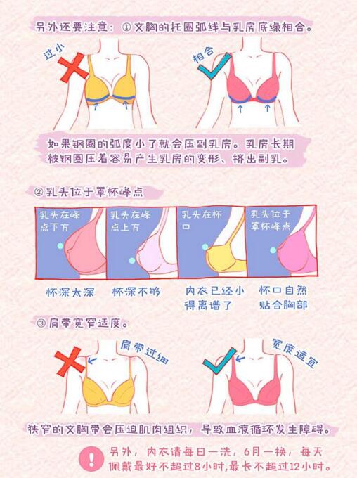 初二女生的罩罩是什么樣？初二女生的胸衣是什么樣的？[圖]