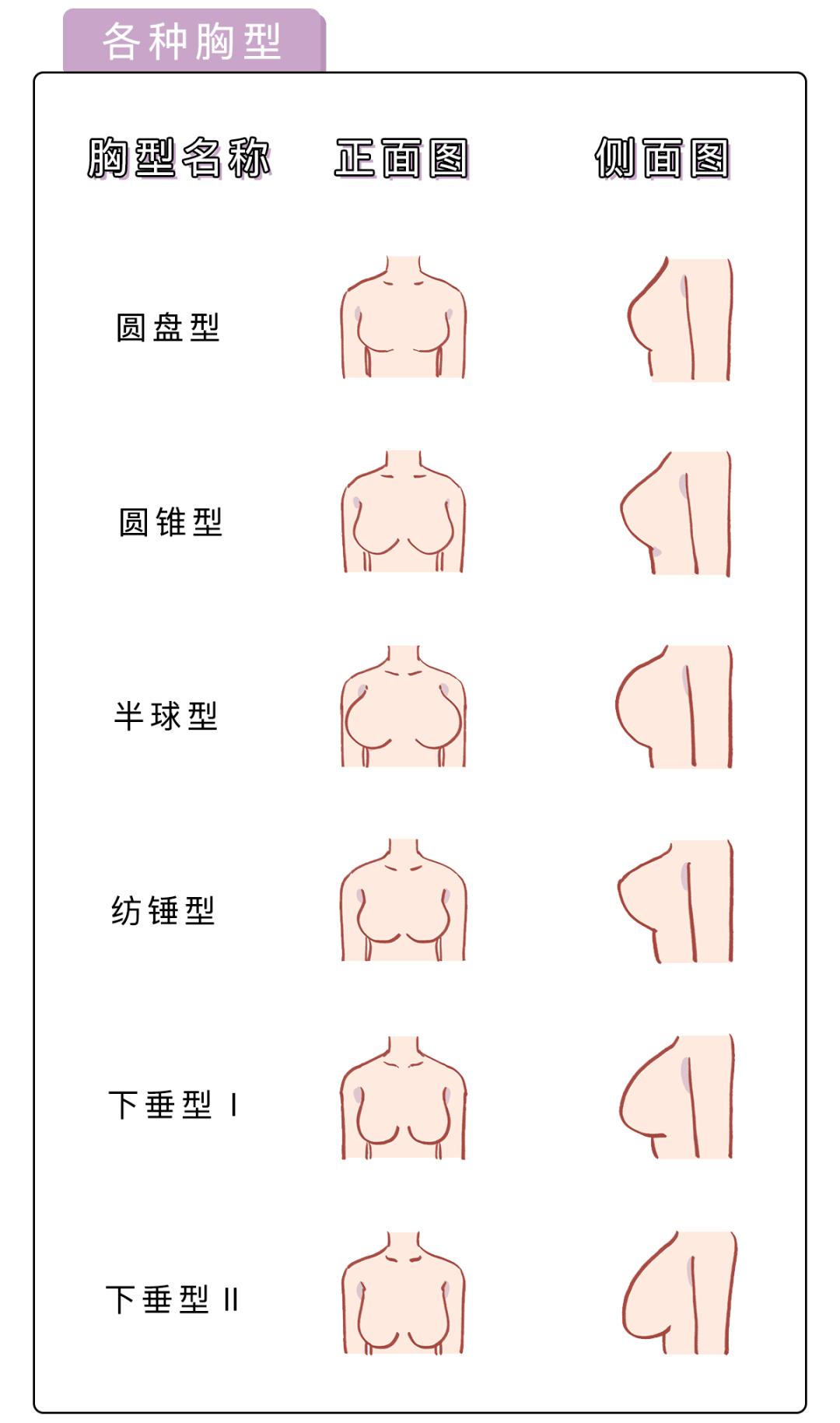 內衣70a和75a有什么區(qū)別？內衣70a和75a有區(qū)別嗎？[圖]