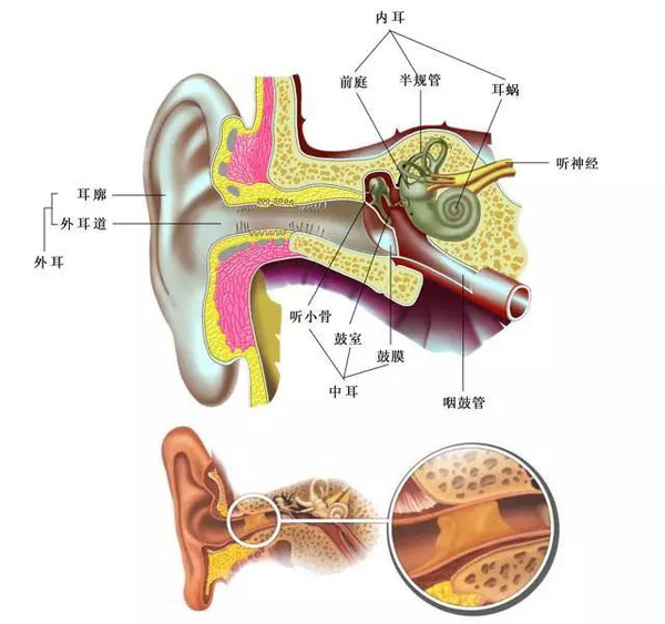 耳屎是怎么產(chǎn)生的？耳屎多是怎么回事呢？[圖]