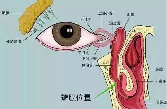 合肥愛爾眼科：什么是淚道疾病？如何預(yù)防