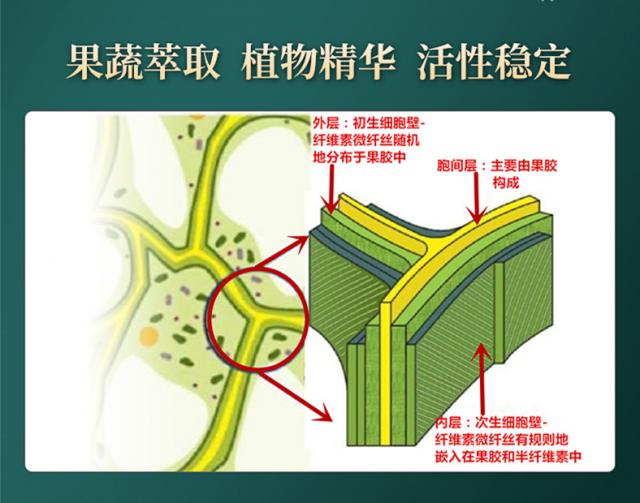 常青通超微化果蔬膳食纖維中國發(fā)明專利