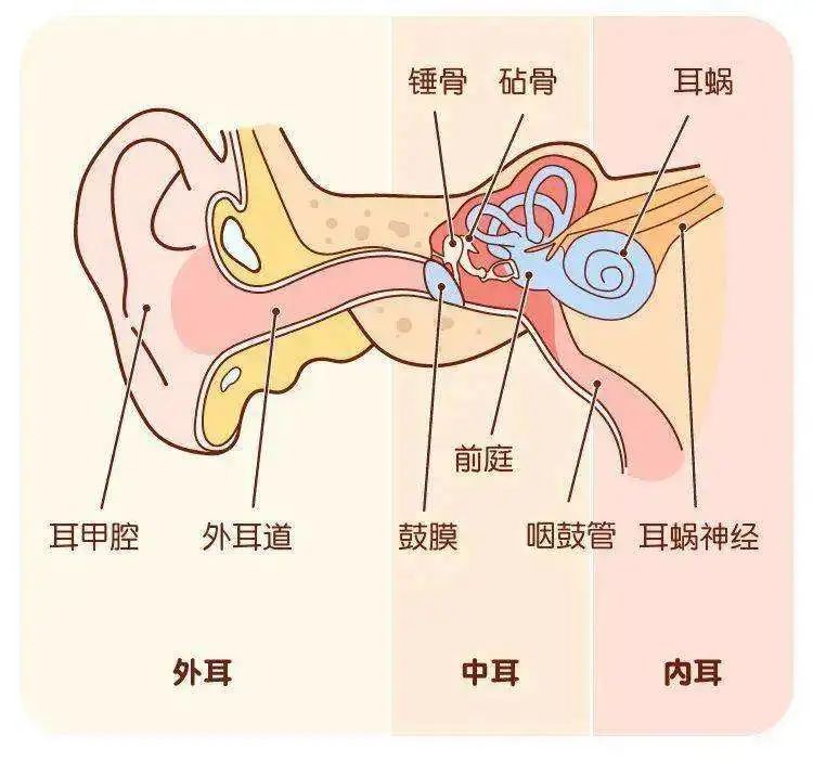 成都民生耳鼻喉醫(yī)院怎么樣 突發(fā)性耳聾能治好嗎 國家三級(jí)醫(yī)院