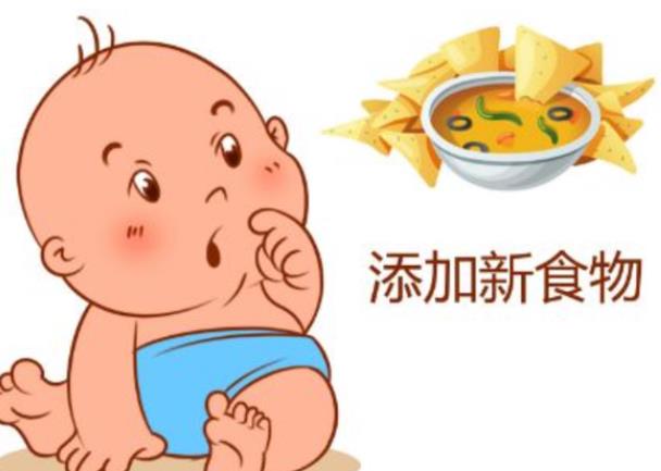 嬰兒添加輔食的順序 4—6月單品種小劑量由細(xì)到粗由少到多