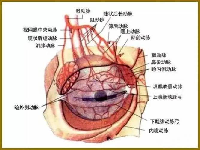 合肥吳氏佳美醫(yī)療美容整形專家吳應凱 行業(yè)經(jīng)驗豐富