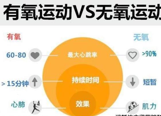 無氧運動有哪些項目 賽跑,深蹲,投擲,拔河,跳遠(yuǎn)等