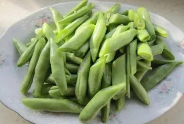 秋蕓豆何時能夠種植？種植秋蕓豆要注意什么？